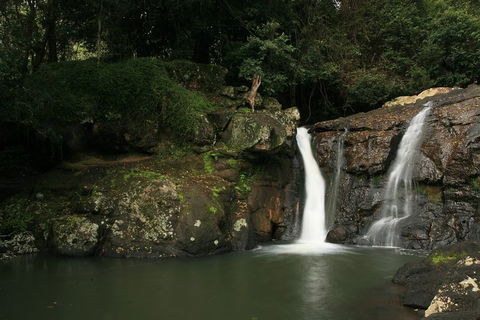 Hinterland Magic & Glow-worm Experience - Hervey Bay Accommodation 2