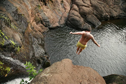 Hinterland Magic & Glow-worm Experience - Hervey Bay Accommodation 3