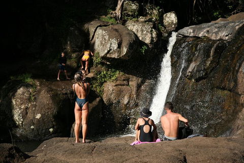 Hinterland Magic & Glow-worm Experience - Hervey Bay Accommodation 5