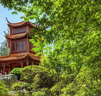 Chinese Garden General Admission Ticket - Hervey Bay Accommodation