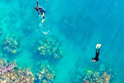 Fly & Cruise - Seaplane Package - Hervey Bay Accommodation 1