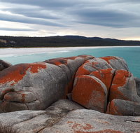 3-Day Bay of Fires Photography Workshop from Hobart - Hervey Bay Accommodation