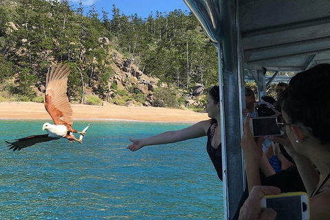 Aquascene Magnetic Island Discovery Tour - Hervey Bay Accommodation 2