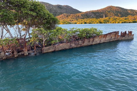 Aquascene Magnetic Island Discovery Tour - Hervey Bay Accommodation 3