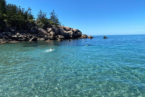 Aquascene Magnetic Island Discovery Tour - Hervey Bay Accommodation 5