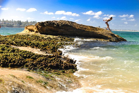 Kiama South Coast Tour With Coastline, Farmlands, Aboriginal Engravings & Lunch - Hervey Bay Accommodation 4