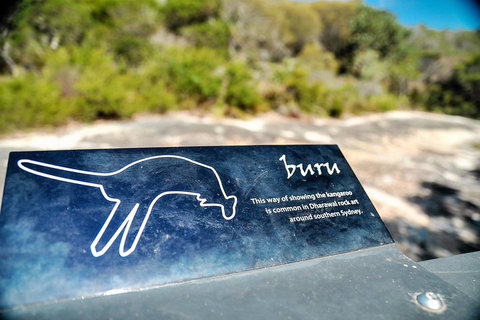 Much More To See Of Sydney Private Tour - Hervey Bay Accommodation 3