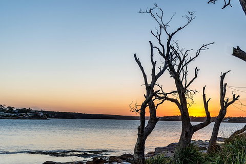 Much More To See Of Sydney Private Tour - Hervey Bay Accommodation 5