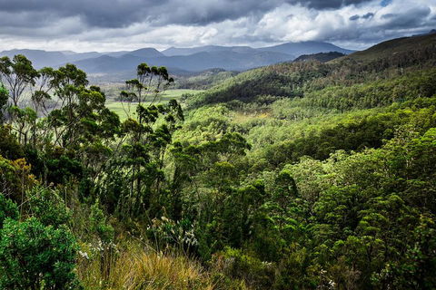 3-Day Tour To The Falls, Mountains, Lake & More Of West Coast Tasmania - Hervey Bay Accommodation 0