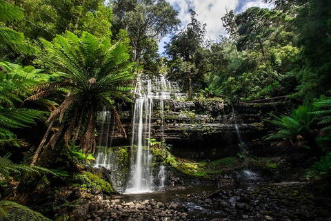 3-Day Tour To The Falls, Mountains, Lake & More Of West Coast Tasmania - Hervey Bay Accommodation 4