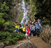 5-Day Lap of Tasmania Tour from Hobart flexible ticket - Hervey Bay Accommodation