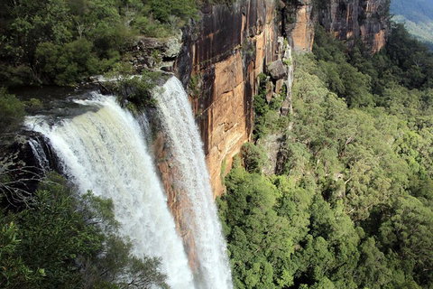 Private Grand Pacific Drive And Southern Highlands Tour - Hervey Bay Accommodation 1