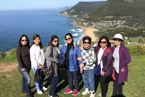 Private Grand Pacific Drive And Southern Highlands Tour - Hervey Bay Accommodation 3