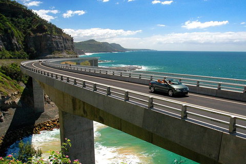 Private Grand Pacific Drive And Southern Highlands Tour - Hervey Bay Accommodation 5