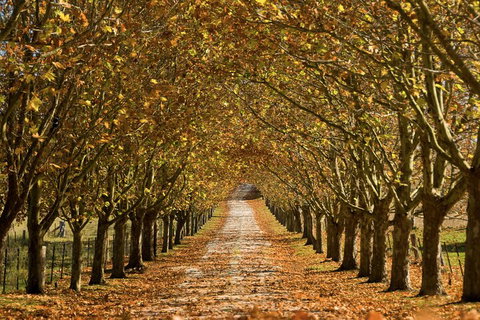 Private Southern Highlands Day Trip From Sydney Including Fitzroy Falls - Hervey Bay Accommodation 4