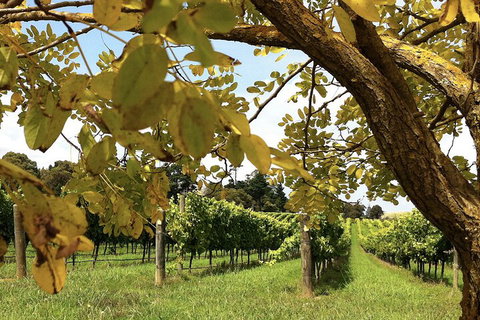Private Southern Highlands Day Trip From Sydney Including Fitzroy Falls - Hervey Bay Accommodation 5