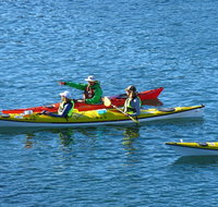Half-Day Sydney Middle Harbour Guided Kayaking Eco Tour - Hervey Bay Accommodation