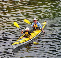 Self-Guided Sydney Middle Harbour Kayak 3 Hour Tour by Double Kayak - Hervey Bay Accommodation