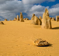 The Pinnacles Sea and Dunescapes Bush Reserve and Sunset Day Tour - Hervey Bay Accommodation