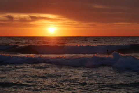 Australian Animals, Seascape And Sunset Photography Tour - Hervey Bay Accommodation 5