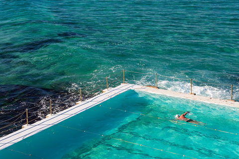 Private Coogee To Bondi Walk From Your City Hotel - Tourism Hervey Bay 2