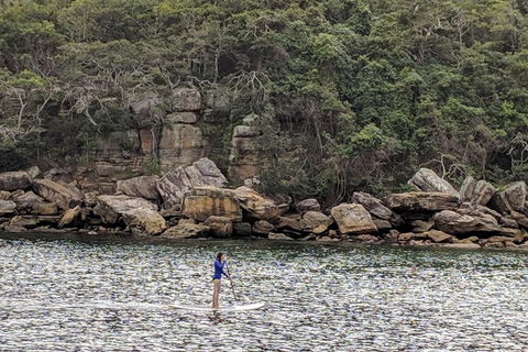 Manly & Sydney's Northern Beaches With 'Personalised Sydney Tours' - Tourism Hervey Bay 3