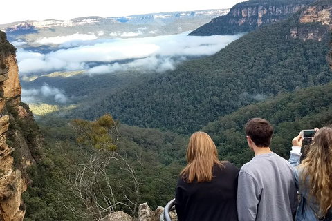 Blue Mountains Private Tour - Wild Kangaroos, Waterfalls And The Three Sisters - Hervey Bay Accommodation 3