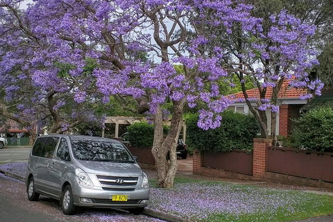 Sydney Secrets & Bondi Beach Private 4 Hr Morning With Personalised Sydney Tours - Hervey Bay Accommodation 0