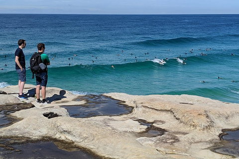 Sydney Secrets & Bondi Beach Private 4 Hr Morning With Personalised Sydney Tours - Hervey Bay Accommodation 2