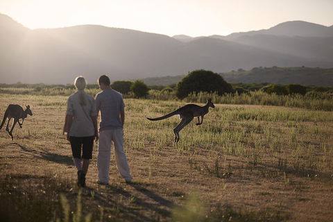 Overnight Daylesford And Macedon Ranges Gourmet Food Trail Tour From Melbourne - Tourism Hervey Bay 1