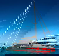 Passions of Paradise Great Barrier Reef Snorkel and Dive Cruise from Cairns by Luxury Catamaran - Hervey Bay Accommodation
