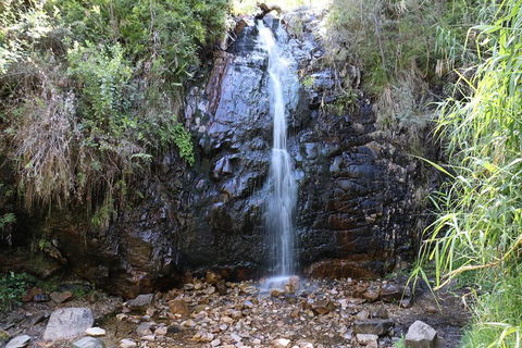 Mount Lofty Hike And Cleland Wildlife Park Day Trip From Adelaide - Tourism Hervey Bay 4