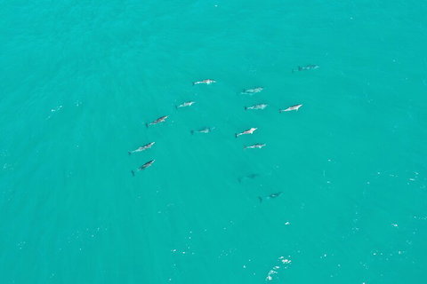 Port Macquarie Express VIP Private Flight - 15 Min - Hervey Bay Accommodation 3