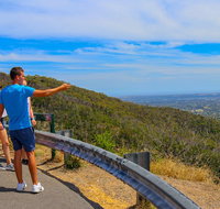 Private Tour Mornington Peninsula Family Maze and Fun - Hervey Bay Accommodation