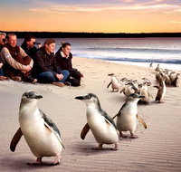 Private Tour Penguin Parade Phillip Island Tour. - Hervey Bay Accommodation