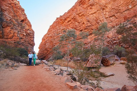 Best Of Alice Springs Full Day Tour - Hervey Bay Accommodation 1