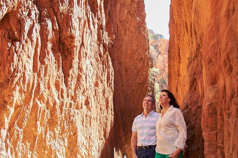 Best Of Alice Springs Full Day Tour - Hervey Bay Accommodation 4
