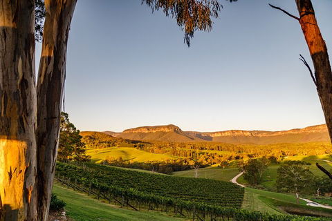 Taste Of The Blue Mountains - Lunch & Wine Tasting, Beer, Cider & Gin Tasting - Hervey Bay Accommodation 1