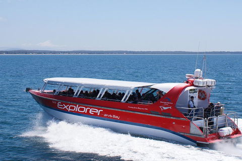 Whale Watching Jervis Bay - Hervey Bay Accommodation 1