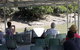 Whitsunday Crocodile Safari Including Lunch - thumb 0