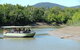 Whitsunday Crocodile Safari Including Lunch - thumb 5