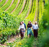 Tasmanian Wine Tour - Hervey Bay Accommodation