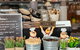 The 10 Tastings Of Sydney With Locals: Private Food Tour - thumb 2