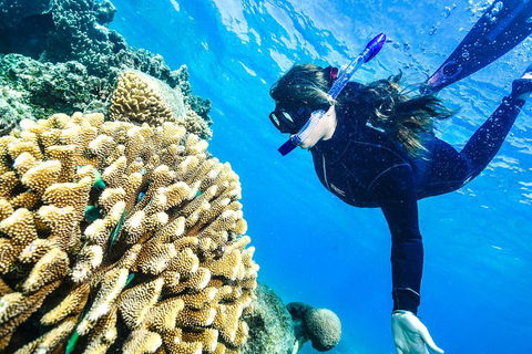 Green Island Day Trip From Cairns - Tourism Hervey Bay 1