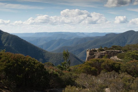 Inside The Greater Blue Mountains World Heritage - A Private Wildlife Safari Overnight - Hervey Bay Accommodation 5
