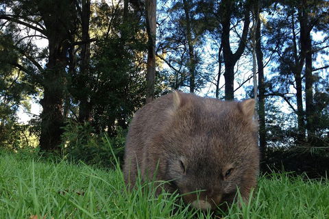 From The Mountains To The Bay - 4 Day Rediscovery Private Tour - Tourism Hervey Bay 5