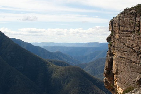 Inside The Greater Blue Mountains World Heritage - A Wildlife Safari Overnight - Hervey Bay Accommodation 4