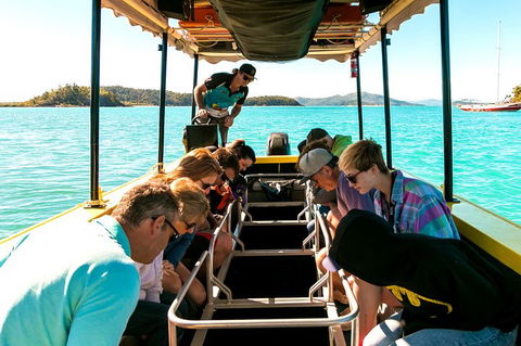 Airlie Beach Glass Bottom Boat Tour - Hervey Bay Accommodation 1