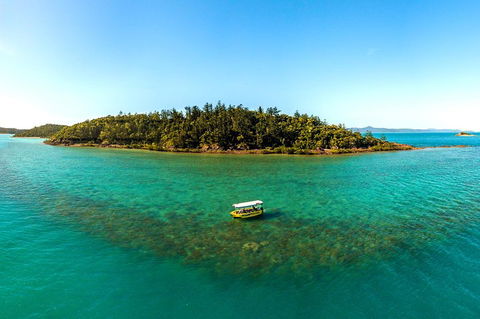 Airlie Beach Glass Bottom Boat Tour - Hervey Bay Accommodation 3