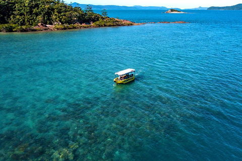 Airlie Beach Glass Bottom Boat Tour - Hervey Bay Accommodation 4